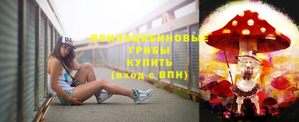 прущая мука Богородицк