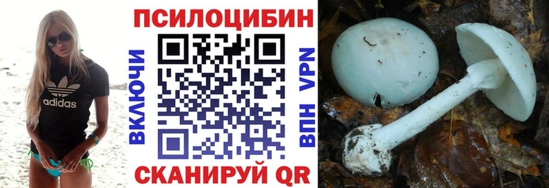 магазин продажи наркотиков  Мыски  Галлюциногенные грибы Cubensis 